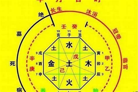 八字 十神 查詢|免費生辰八字五行屬性查詢、算命、分析命盤喜用神、喜忌